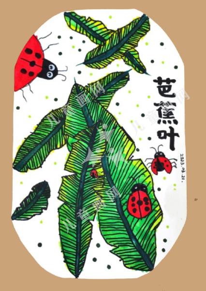 芭蕉叶上的生命
