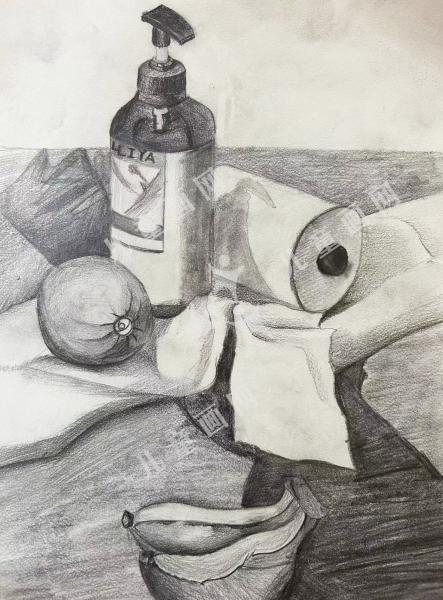 静物素描