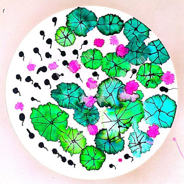 池塘里的小蝌蚪