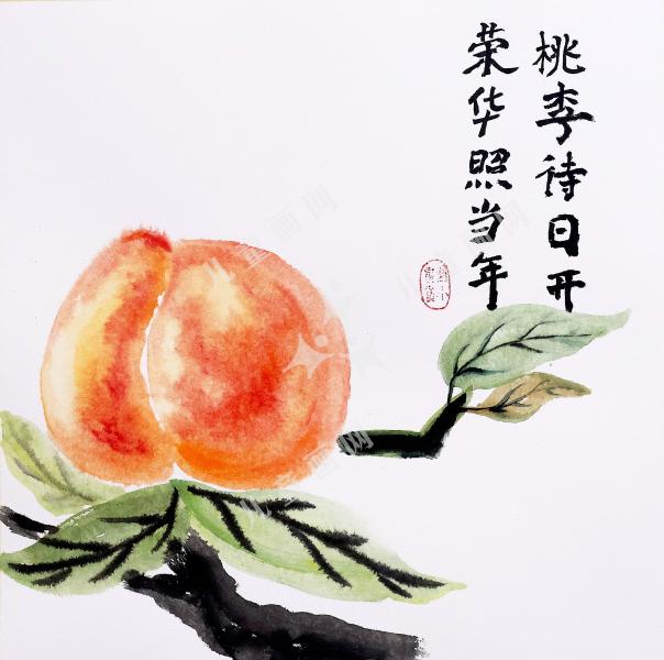 桃华