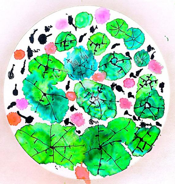 池塘里的小蝌蚪