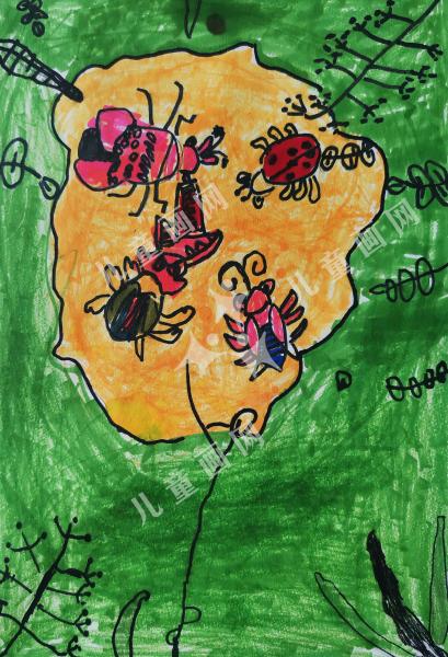 森林里的小昆虫