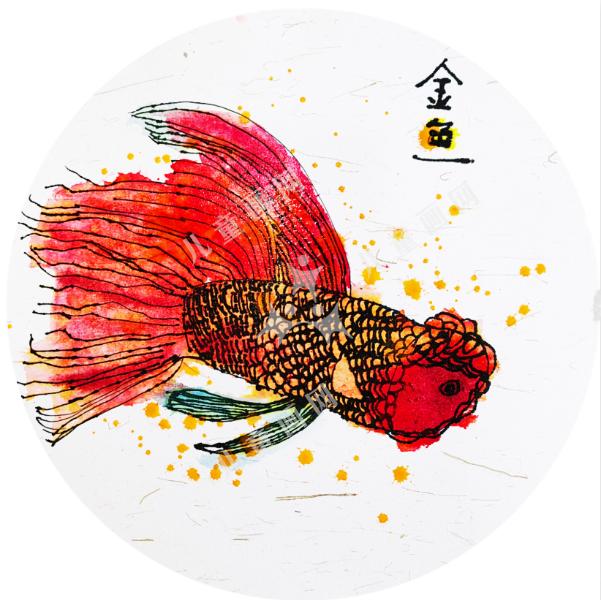 金鱼