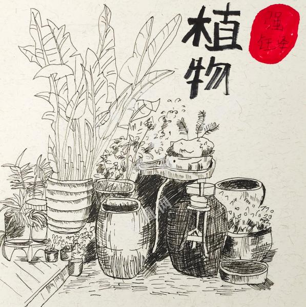 植物