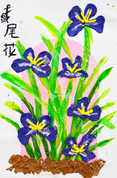 鸢尾花