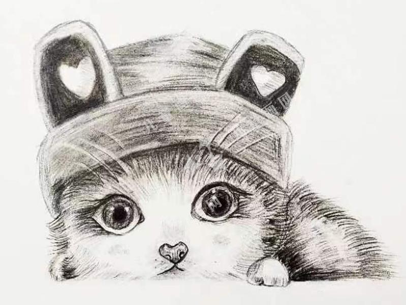 猫咪