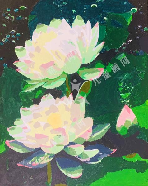花样荷花