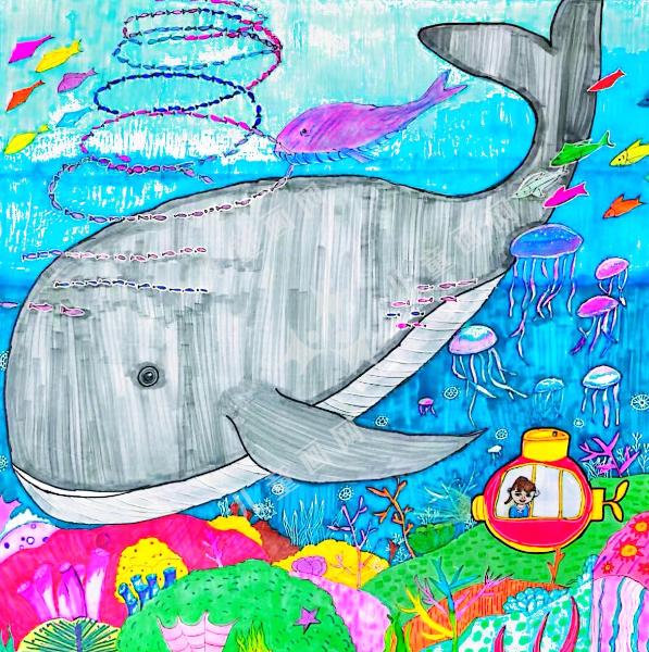 美丽的海底世界