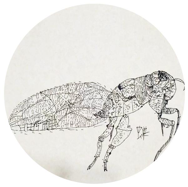 万物新生
共舞自然