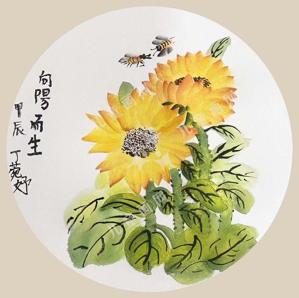 向阳而生