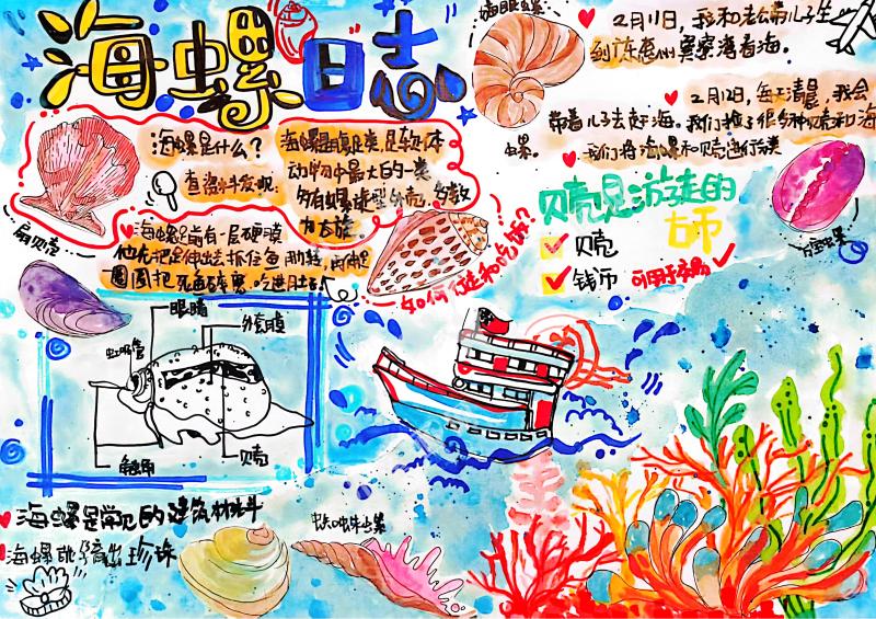 海螺来信