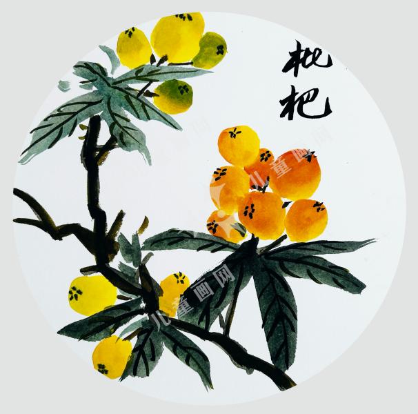 枇杷