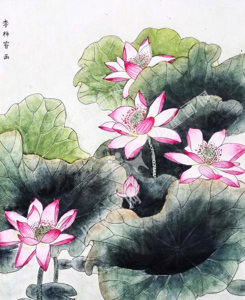 出水芙蓉