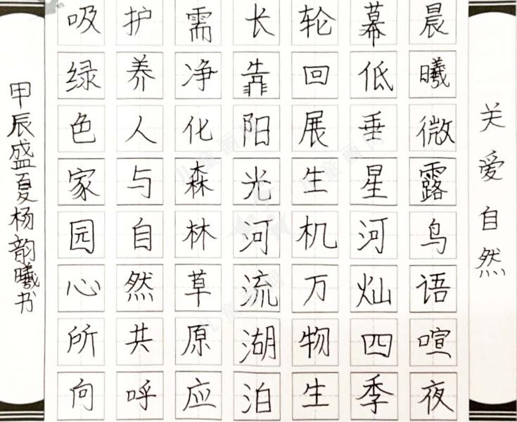 关爱自然