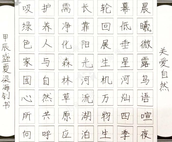 关爱自然