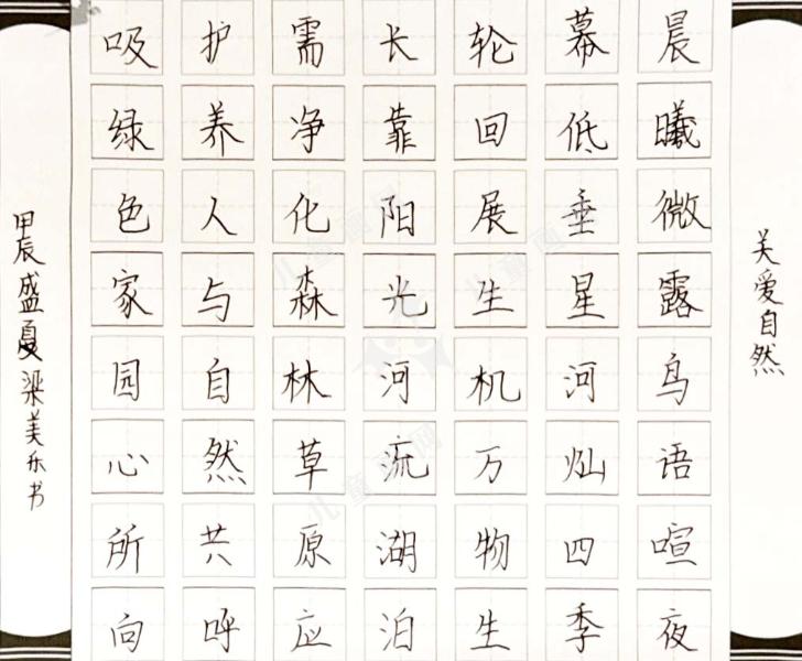 关爱自然