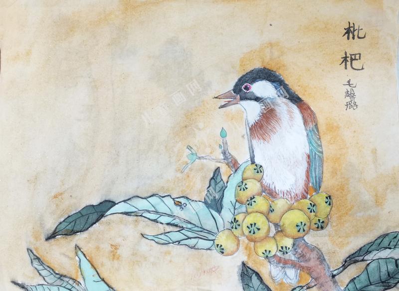 枇杷山鸟图