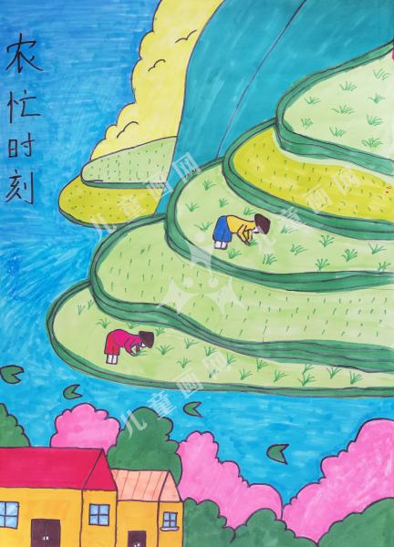 农忙时刻