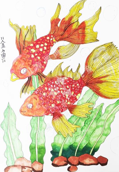 金鱼