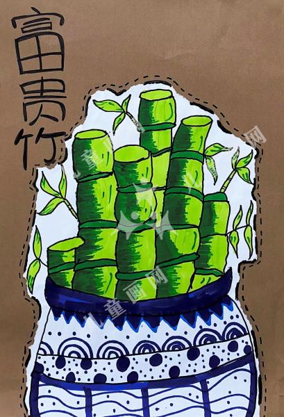 富贵竹