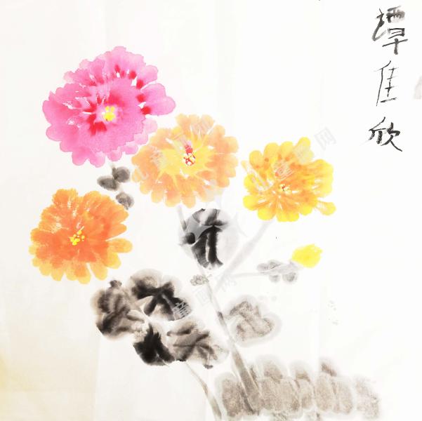 菊花图