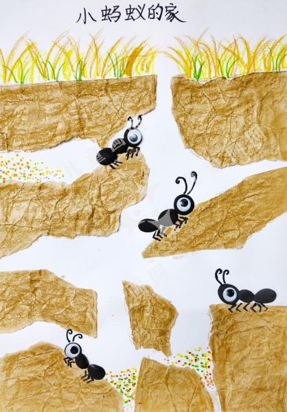 小蚂蚁的家