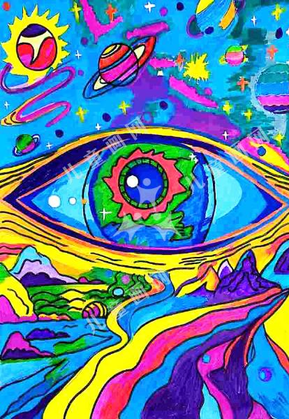 小眼睛看大世界