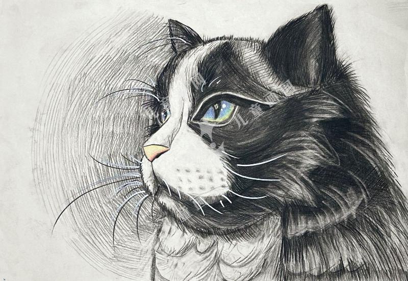 大猫