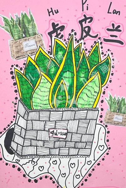 虎皮兰