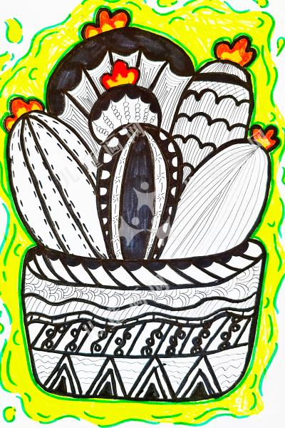 沙漠里的仙人掌