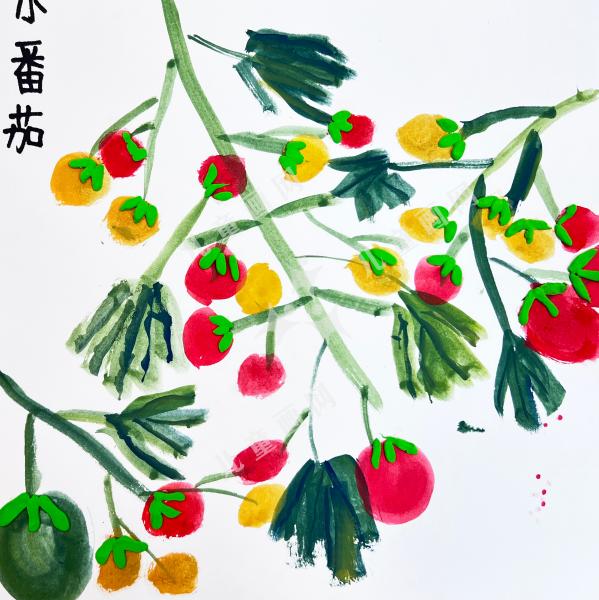 番茄成熟正当时