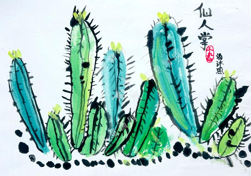 仙人掌