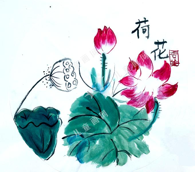 荷花