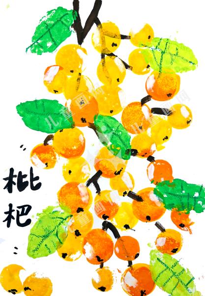 枝头的小灯笼