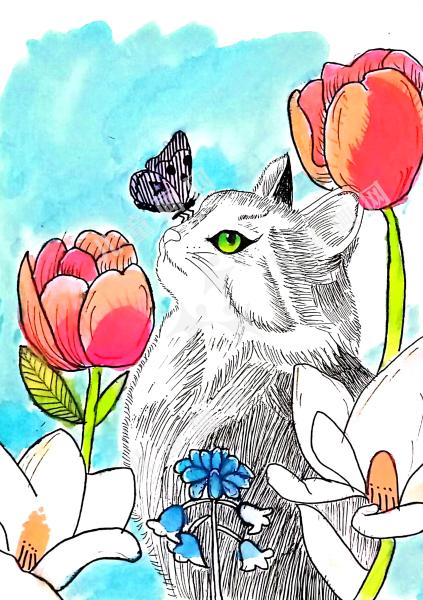 向往自由的猫