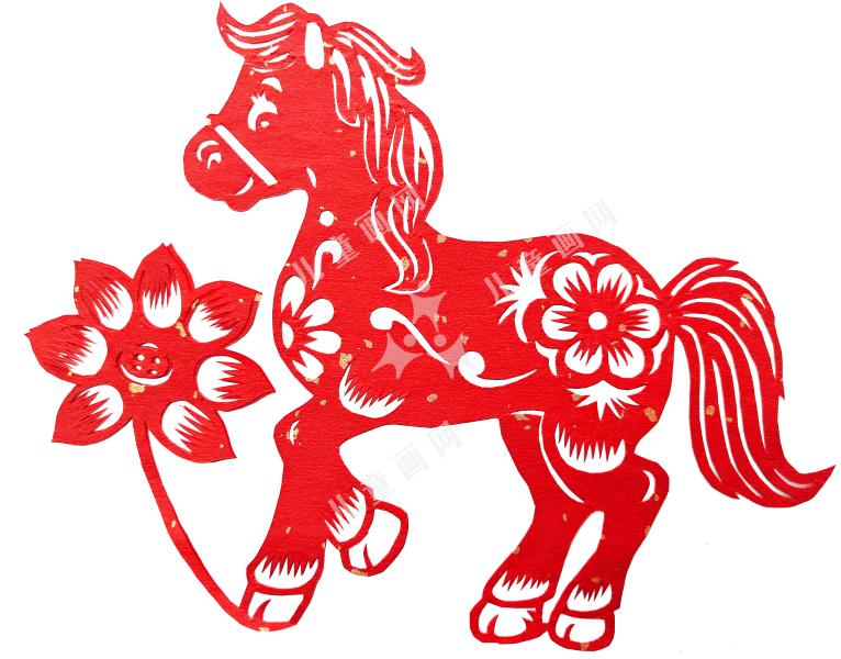 小马驹