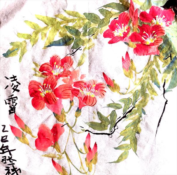 凌霄花
