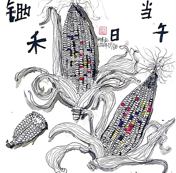 玉米