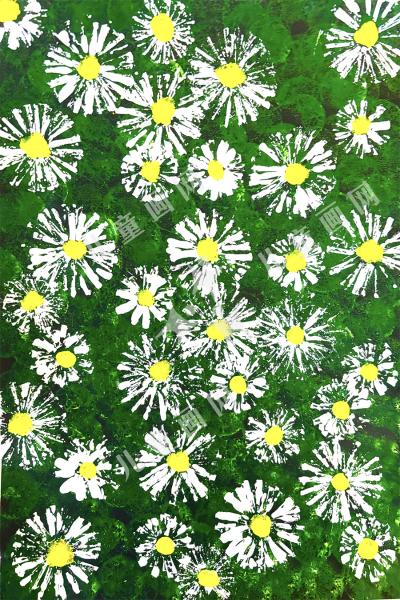 满野雏菊