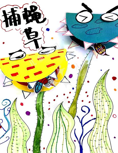 捕蝇草