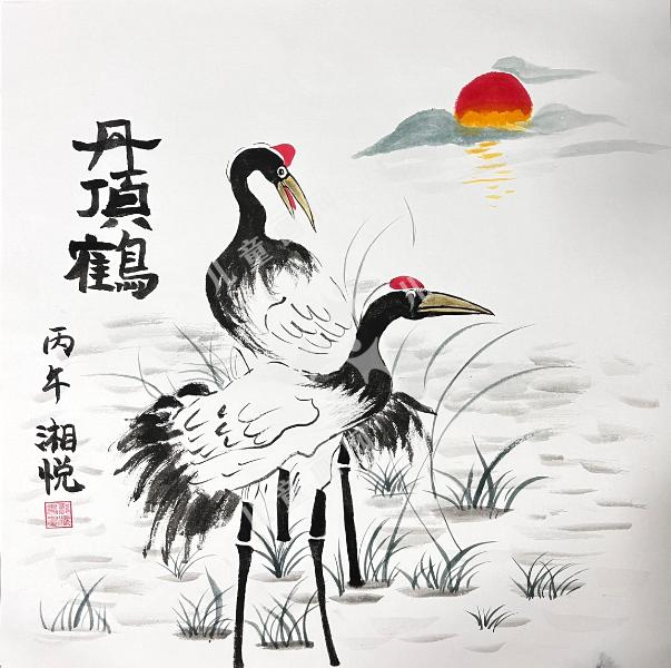 丹顶鹤