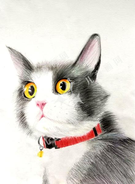 小猫咪