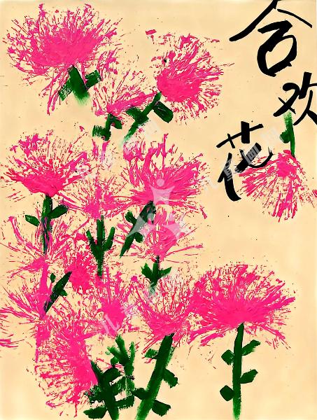 合欢花