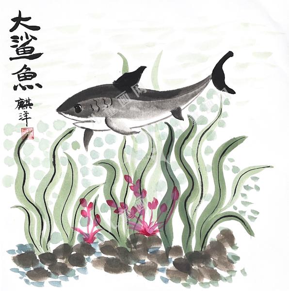 鲨鱼