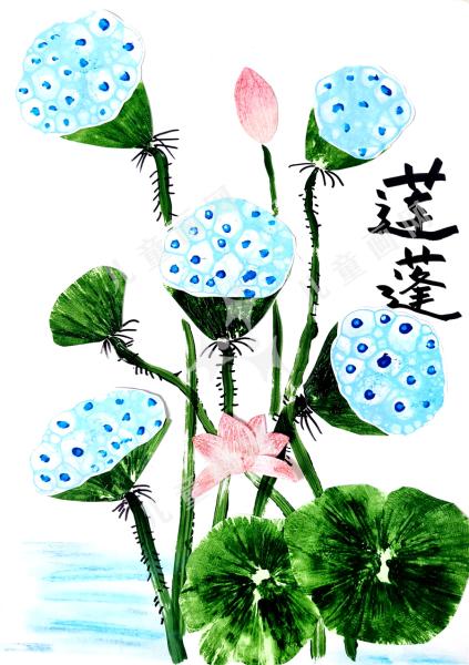 莲蓬