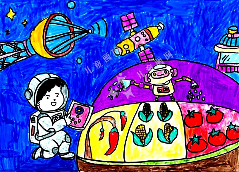 宇宙蔬菜培育站